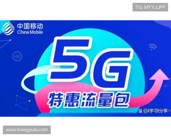 AG国际注册平台的客户服务与技术支持全攻略，解决您的所有疑问与难题
