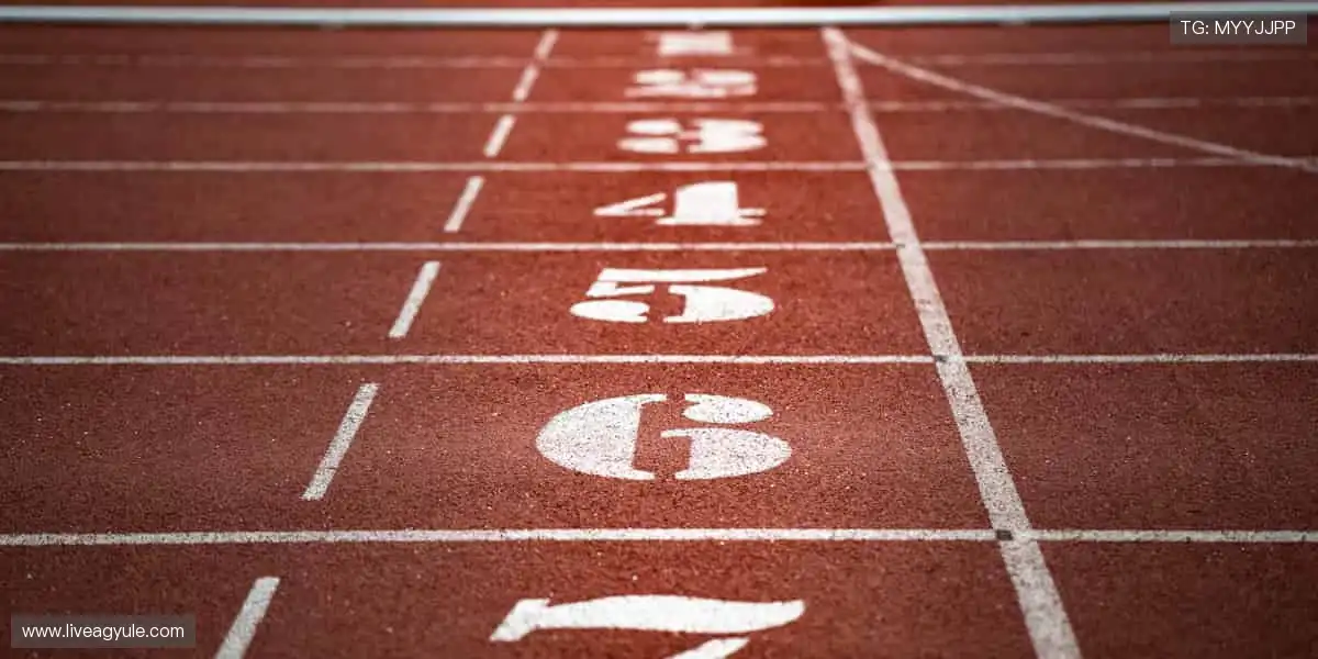 一站式麻将电竞平台：国粹职业排位carry，高清胡牌更便利